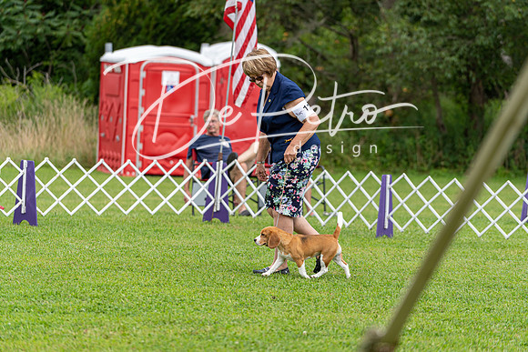 20190815-DSC09128