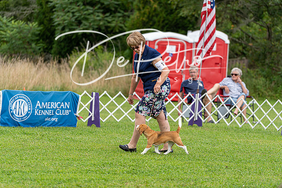 20190815-DSC09133