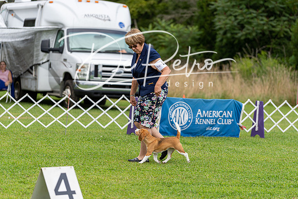20190815-DSC09136