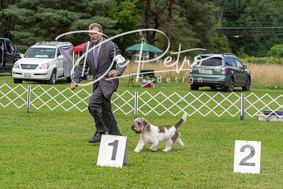 20190815-DSC09179