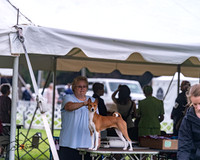20250626-DSC04430