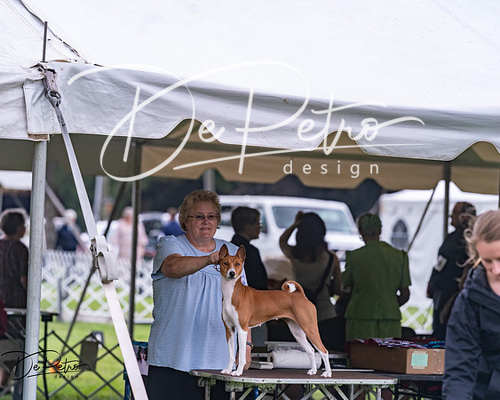 20250626-DSC04430