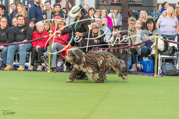 20200209-DSC01253