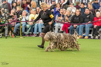 20200209-DSC01238