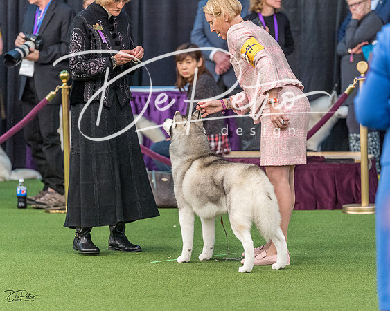 20200211-DSC00172