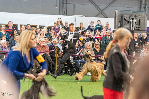 20200209-DSC01202