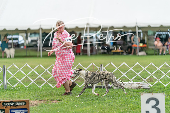 20240630-DSC02248
