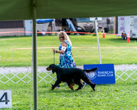 20240815-DSC07925