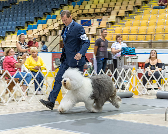 20190901-DSC04661