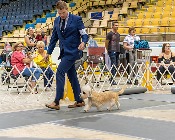 20190901-DSC04675