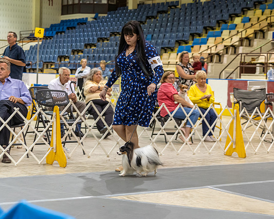 20190901-DSC04691