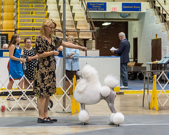 20190901-DSC04698