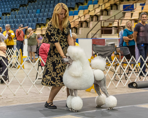 20190901-DSC04710