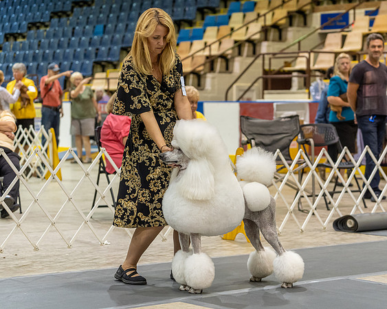 20190901-DSC04711