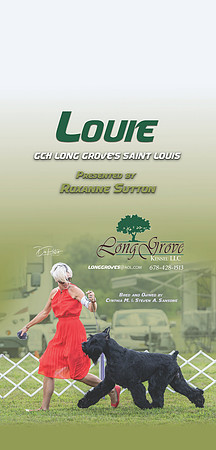 louie cover story gr