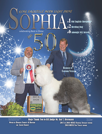 Sophia BIS 50