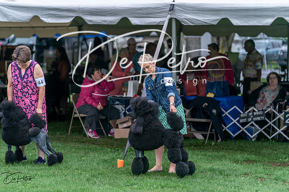20240629-DSC05708