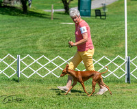 20250629-DSC09503