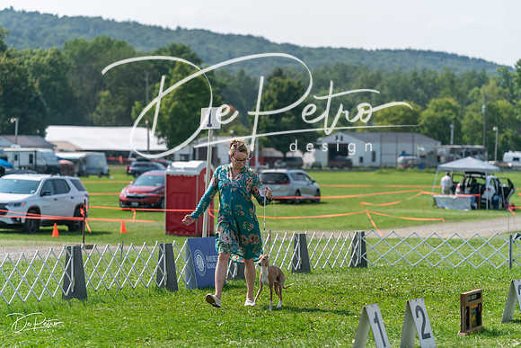20240816-DSC00305