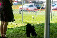 20240816-DSC00142