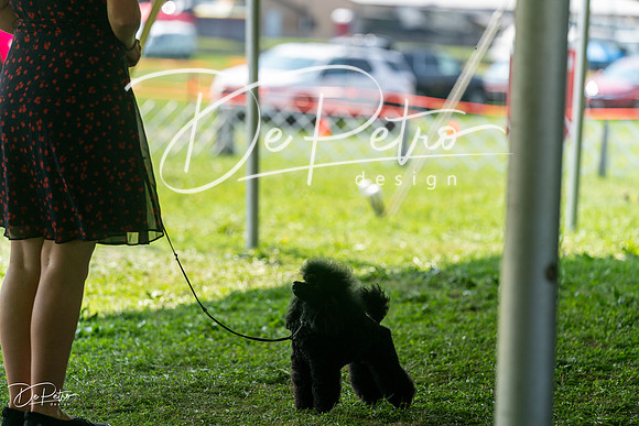 20240816-DSC00142