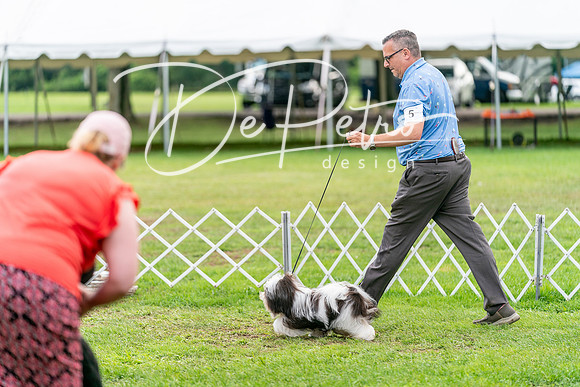 20240630-DSC05637