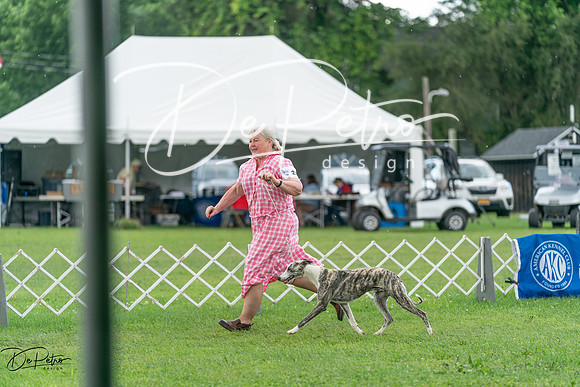 20240630-DSC02235