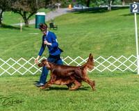 20250629-DSC01082