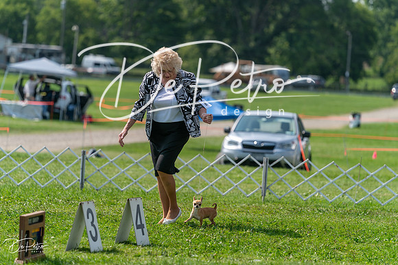 20240816-DSC00357