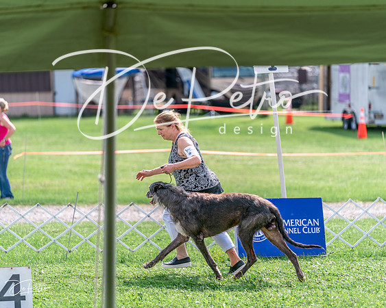 20240815-DSC06837