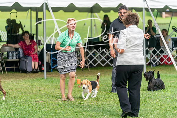 20240630-DSC05742