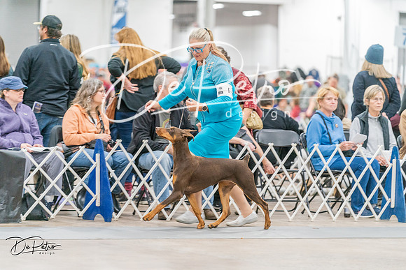 20231118-DSC02419