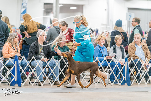 20231118-DSC02415