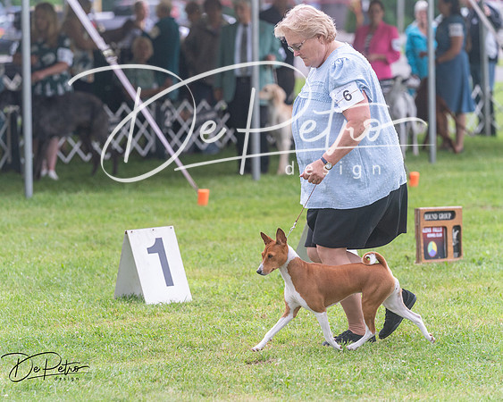 20250626-DSC04477