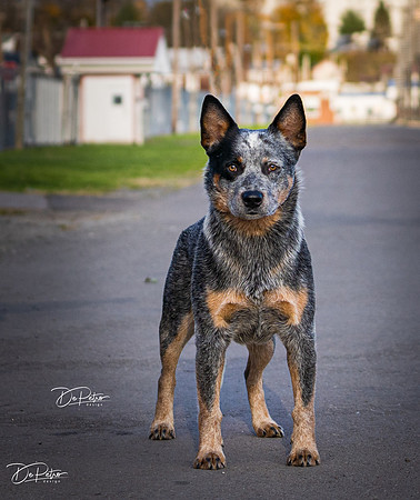 DSC09452-Edit