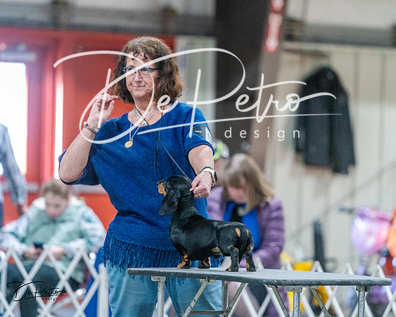 20240218-DSC02515