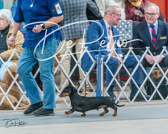20240218-DSC02528