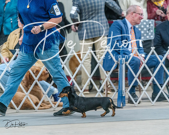 20240218-DSC02531