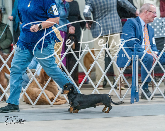 20240218-DSC02533