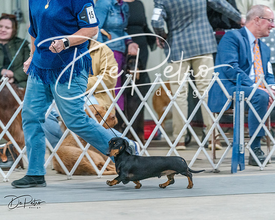 20240218-DSC02534