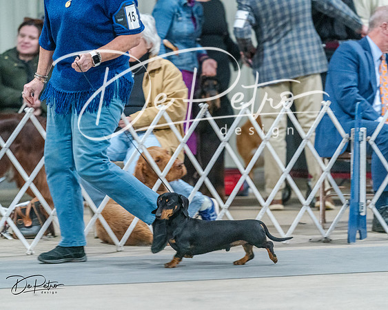20240218-DSC02535