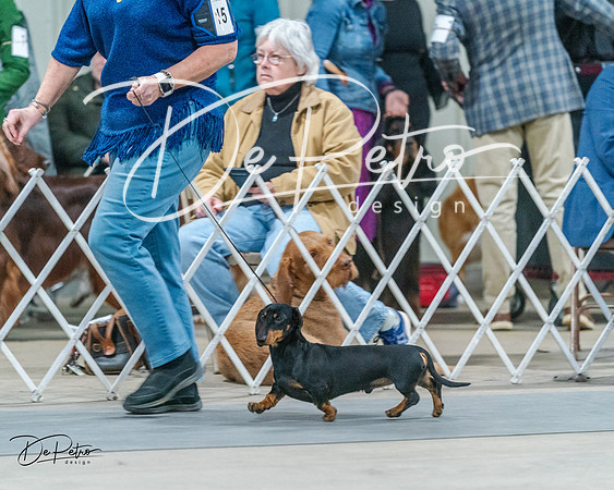 20240218-DSC02537
