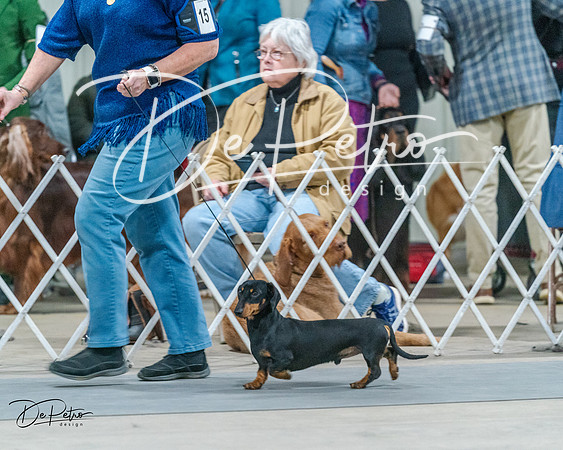 20240218-DSC02538