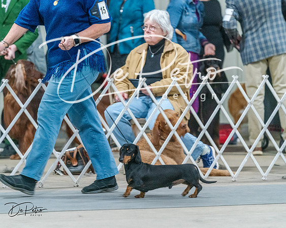 20240218-DSC02539