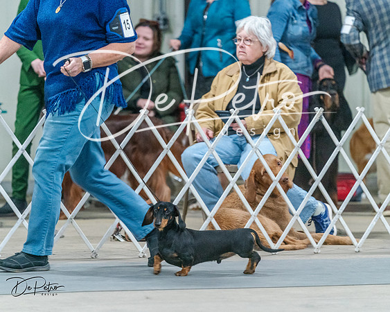 20240218-DSC02542