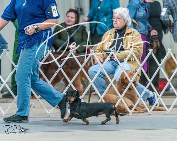 20240218-DSC02543