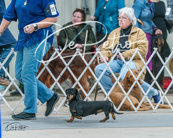 20240218-DSC02544