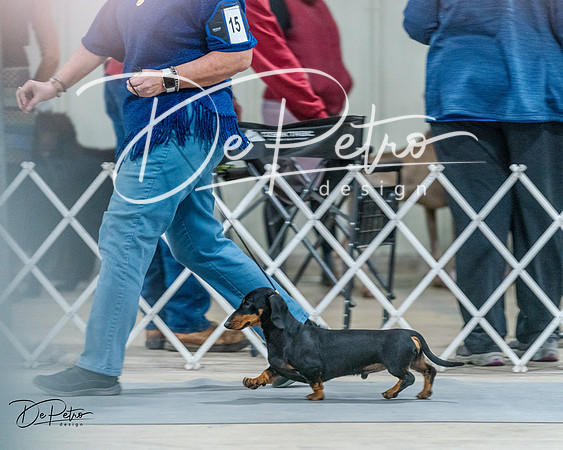 20240218-DSC02550