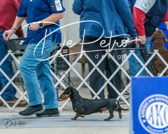 20240218-DSC02546