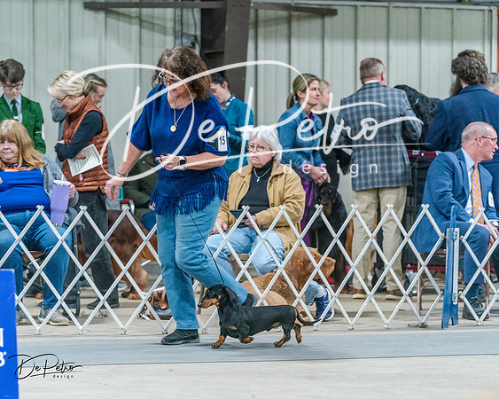 20240218-DSC02570